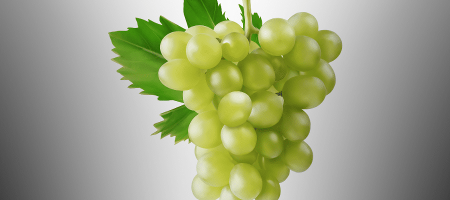 Les Bienfaits du Raisin