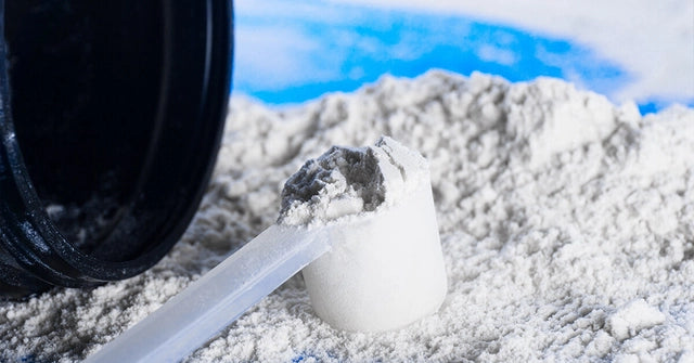 Is creatine of vegetable origin and what is composed? - XXLNUTRATION