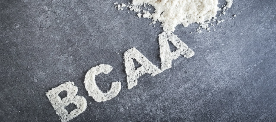 What is BCAA? - XXLNUTRATION