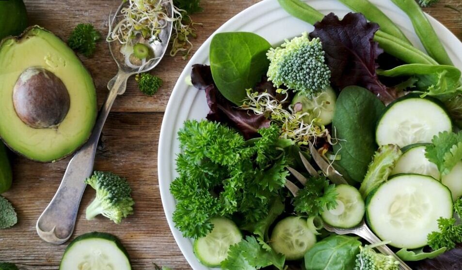 Is creatine of vegetable origin and what is composed?