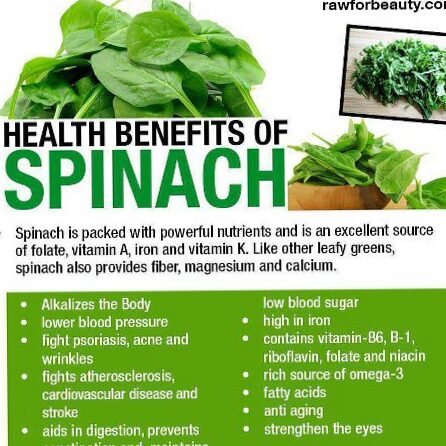The benefits of spinach | A superfood to be integrated into your sports routine