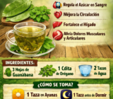 🌿 TÉ NATURAL DE HOJAS DE GUANÁBANA Y ORÉGANO: APOYO NATURAL PARA LA DIABETES, LA CIRCULACIÓN, EL HÍGADO Y LOS DOLORES DEL CUERPO