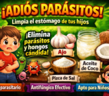 “El Remedio Casero que Muchos Usan para Limpiar el Estómago: Ajo, Aceite de Coco y una Pizca de Sal”