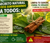 El Secreto Natural que Está Sorprendiendo a Todos: Limpia tu Sangre, Cuida tu Hígado y Apoya tu Salud en Solo 2 Ingredientes