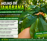 descubre el apoyo natural que muchas personas están usando para fortalecer su cuerpo y recuperar esperanza