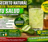 El Secreto Natural que Está Transformando la Salud desde Adentro Pocos lo Conocen