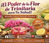 ¡El secreto natural que pocos conocen para limpiar tu cuerpo y mejorar tu salud desde casa!