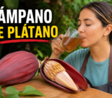 La Flor de Plátano Está Sorprendiendo al Mundo! El Remedio Natural Que Muchos Están Usando Para Limpiar el Cuerpo y Fortalecer la Salud