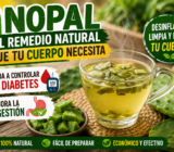 ¡EL NOPAL QUE ESTÁ CAMBIANDO LA SALUD!