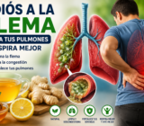 ADIÓS A LA FLEMA PEGADA! El remedio natural que puede ayudarte a respirar mejor y aliviar la gripe persistente