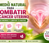 La Receta Natural que Muchas Mujeres Conocen para Apoyar la Salud de la Matriz