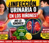 ALERTA! La infección urinaria y la infección en los riñones podrían estar afectando tu salud más de lo que imaginas