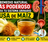 ¡La humilde tusa de maíz que muchos tiran a la basura podría convertirse en una gran aliada para tu sistema urinario!