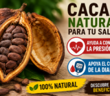 El cacao podría ser el tesoro natural que ayuda a controlar la diabetes y la presión alta! Descubre cómo aprovechar sus beneficios para tu salud